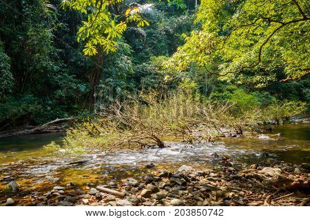 Scenery In Khao Sok National Park In Thailand. Khao Sok National Park The Rain Jungle Forest In Sura