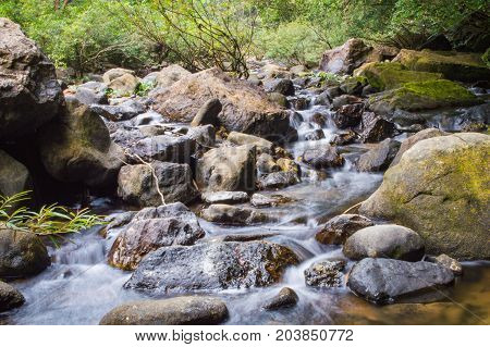 Scenery In Khao Sok National Park In Thailand. Khao Sok National Park The Rain Jungle Forest In Sura