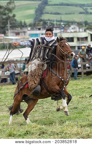 June 3 2017 Machachi Ecuador: Andean cowboy on horseback in motion wearing chaps and poncho handling a lasso