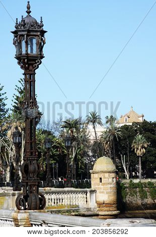 Morning park in Cadiz, Andalusia, Spenish vacations