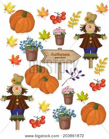 Autumn pattern pumpkin flowers and seasonal viburnum Vectors
