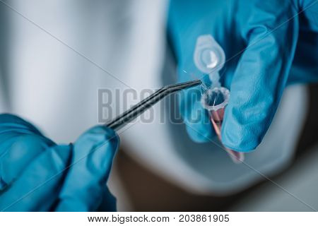Forensic Science. Female Analyzing Samples In The Lab. Toned Image
