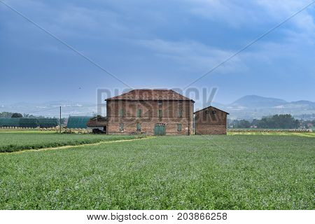 Rural landscape near Fidenza (Parma Emilia-Romagna Italy) at summer. Farm
