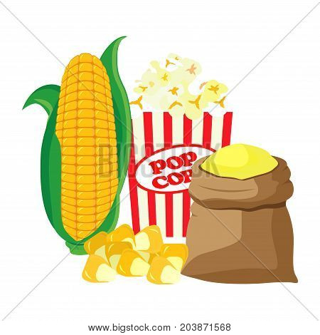 Very high quality original trendy vector set with sweet golden corn. Bunch of Corn. summer farm design elements