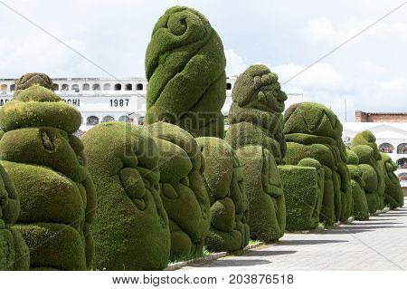 May 16 2017 Tulcan Ecuador: green statues created from cypress bushes at the extensive topiary of the local cemetery