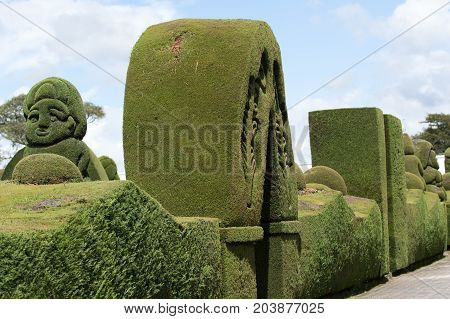 May 16 2017 Tulcan Ecuador: the cemetery of the high altitude border town is a famous tourist destination for its elaborate topiary