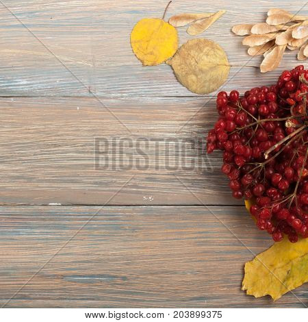 Background with red, orange, brown and yellow falling autumn set leaves
