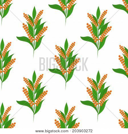 Quinoa seamless pattern. Healthy quinoa vegetarian food. Made in cartoon flat style. Vector illustration