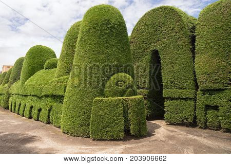 May 16 2017 Tulcan Ecuador: the cemetery of the high altitude border town is known for the most elaborate topiary in the Americas