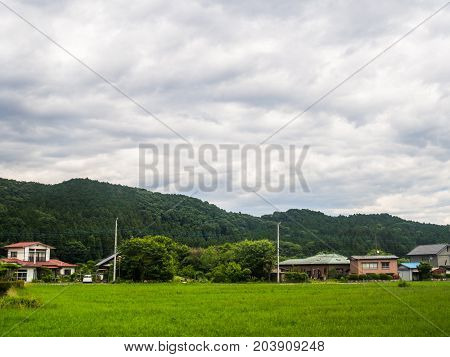 Beautiful view of a land with grass and some houses in the horizont near of a rice fields in Japan.