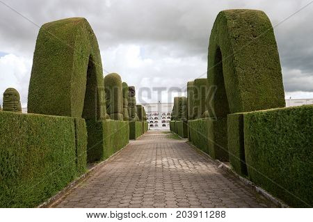 May 16 2017 Tulcan Ecuador: the evergreen cypress topiary is the most elaborate in the Americas
