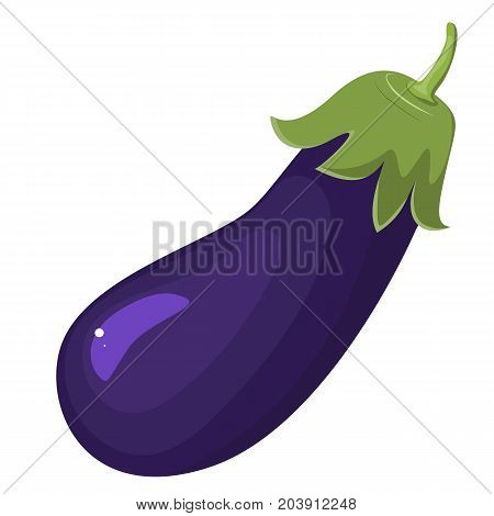 Eggplant isolated on white. Aubergine. Vector illustration. Vegetarian food