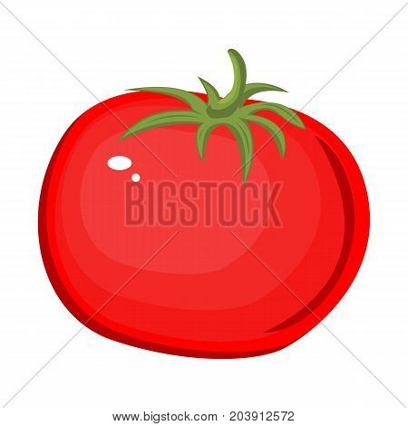 Tomato isolated single simple cartoon. Ripe tomato cartoon. Stock vector. Isolated white background.