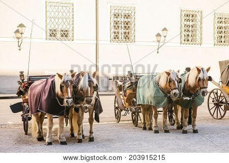 Horses with wagons in winter on the main square of Salzburg in Austria. Entertainment of tourists, riding. Attractions.