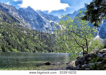Morskie Oko lake with rocks under water at Tatra Mountains, Poland.