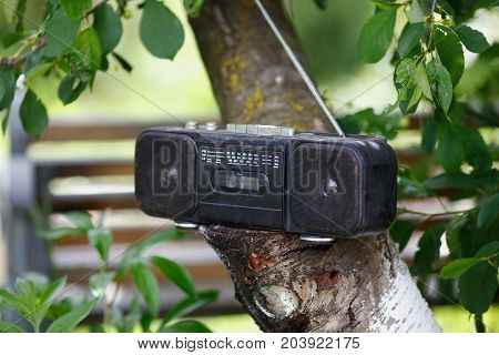 retro old black cassette tape recorder on the tree