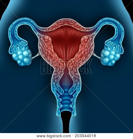Menopause female medical condition due to aging as a human uterus as a menopausal condition concept in a 3D illustration elements.