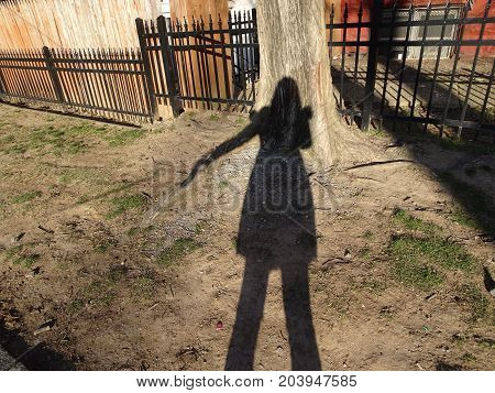 shadow of a girl on the winter ground