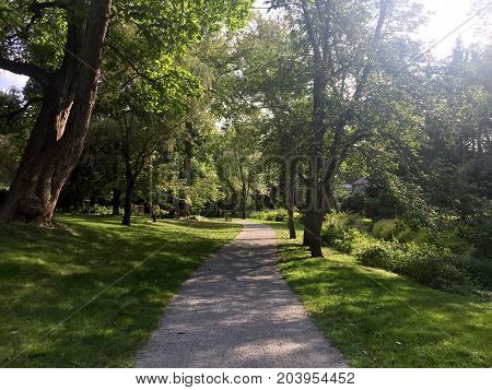 Long pathway headed deeper into the woods in the summertime with green everywhere as the sun is setting and shining through the leaves and tree branches