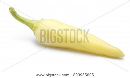 Banana Pepper Chile C. Annuum, Paths
