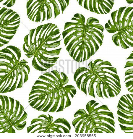 Exotic pattern with monstera leaves. Seamless tropical background. Vector illustration.
