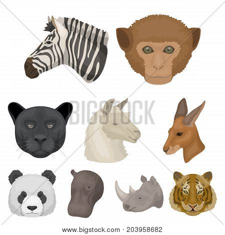 A set of icons of wild animals. Predatory and peaceful wild animals.Realistic animal icon in set collection on cartoon style vector symbol stock web illustration.