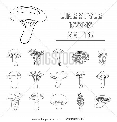 Mushroom set icons in outline style. Big collection of mushroom vector symbol stock