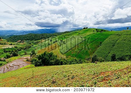 Rice Terrace In A Countryside With Rain In The Background.