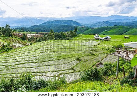 little house and Rice terrace in a cloudy lighting surrounded by trees and mountains with a raining storm in the background at Pa Bong Piang near Inthanon National Park and Mae Chaem Chiangmai Thailand.