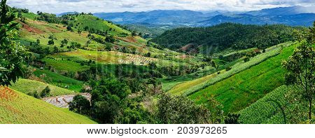 Rice terrace and mountain with the rain storm at the background at Pa Bong Piang near Inthanon National Park and Mae Chaem Chiangmai Thailand.