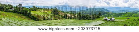 A panorama view of local houses little hut and Rice terrace in a cloudy lighting surrounded by trees and mountains with a raining storm in the background at Pa Bong Piang near Inthanon National Park and Mae Chaem Chiangmai Thailand.