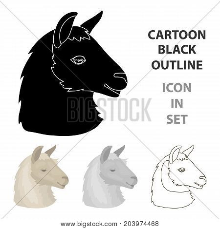 Lama icon in cartoon design isolated on white background. Realistic animals symbol stock vector illustration.