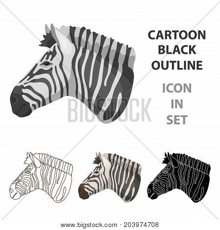 Zebra icon in cartoon design isolated on white background. Realistic animals symbol stock vector illustration.