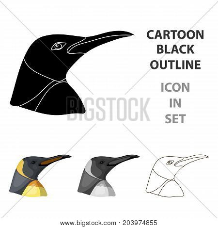Penguin icon in cartoon design isolated on white background. Realistic animals symbol stock vector illustration.
