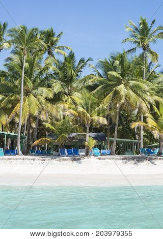 Caribbean sea with turquoise water and palms close to Saona island