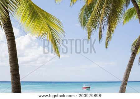 Caribbean sea with turquoise water and palms close to Saona island
