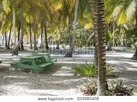 Caribbean sea with turquoise water and palms close to Saona island