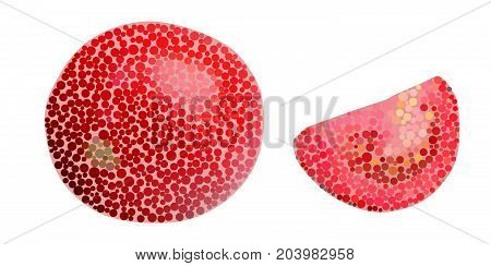 pminor a decorative square mosaic orange beautiful circles on a white background