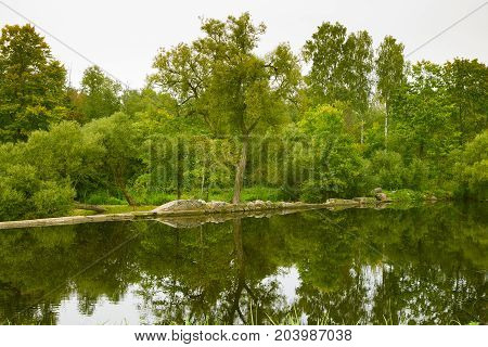 A beautiful reflected landscape of a forest near the river. Green autumn scenery.