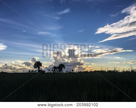 Beautiful And Peaceful Sunset In The Marshes Of A Swamp