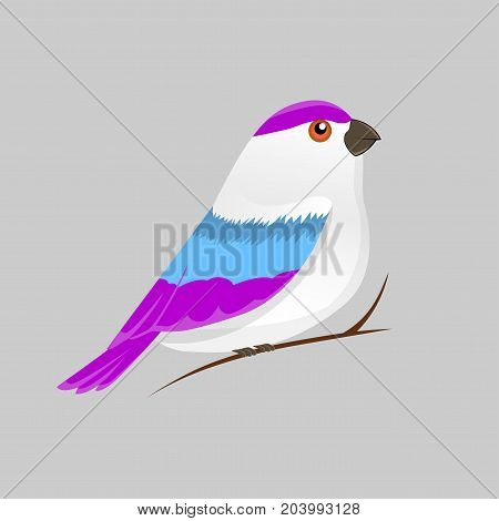 Vector color image of a bird, bird design icon