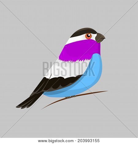 Vector color image of a bird, bird design icon