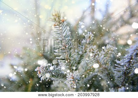 Christmas tree background with effect drawn snow. Abstract pattern.