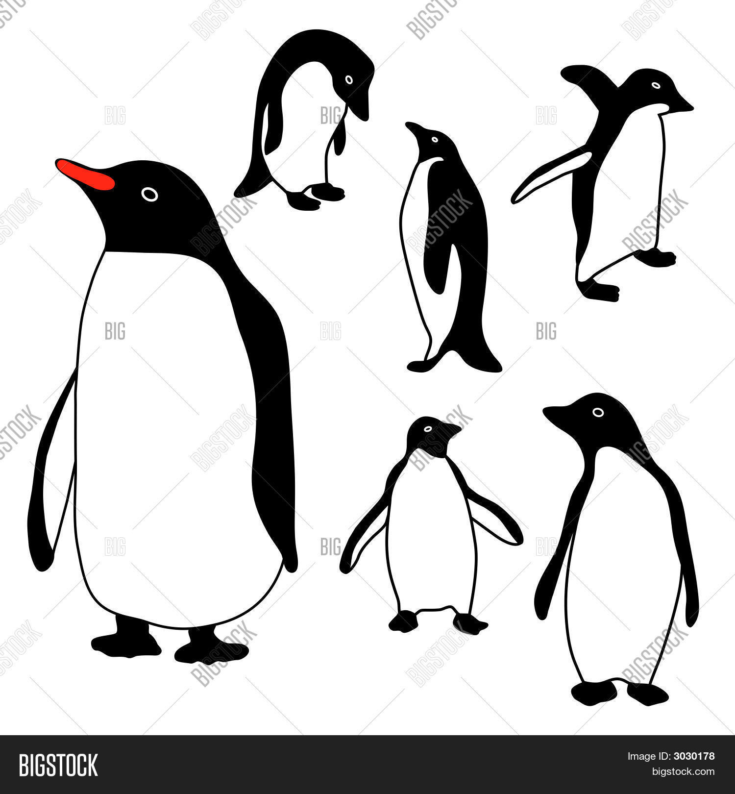 Image Preview