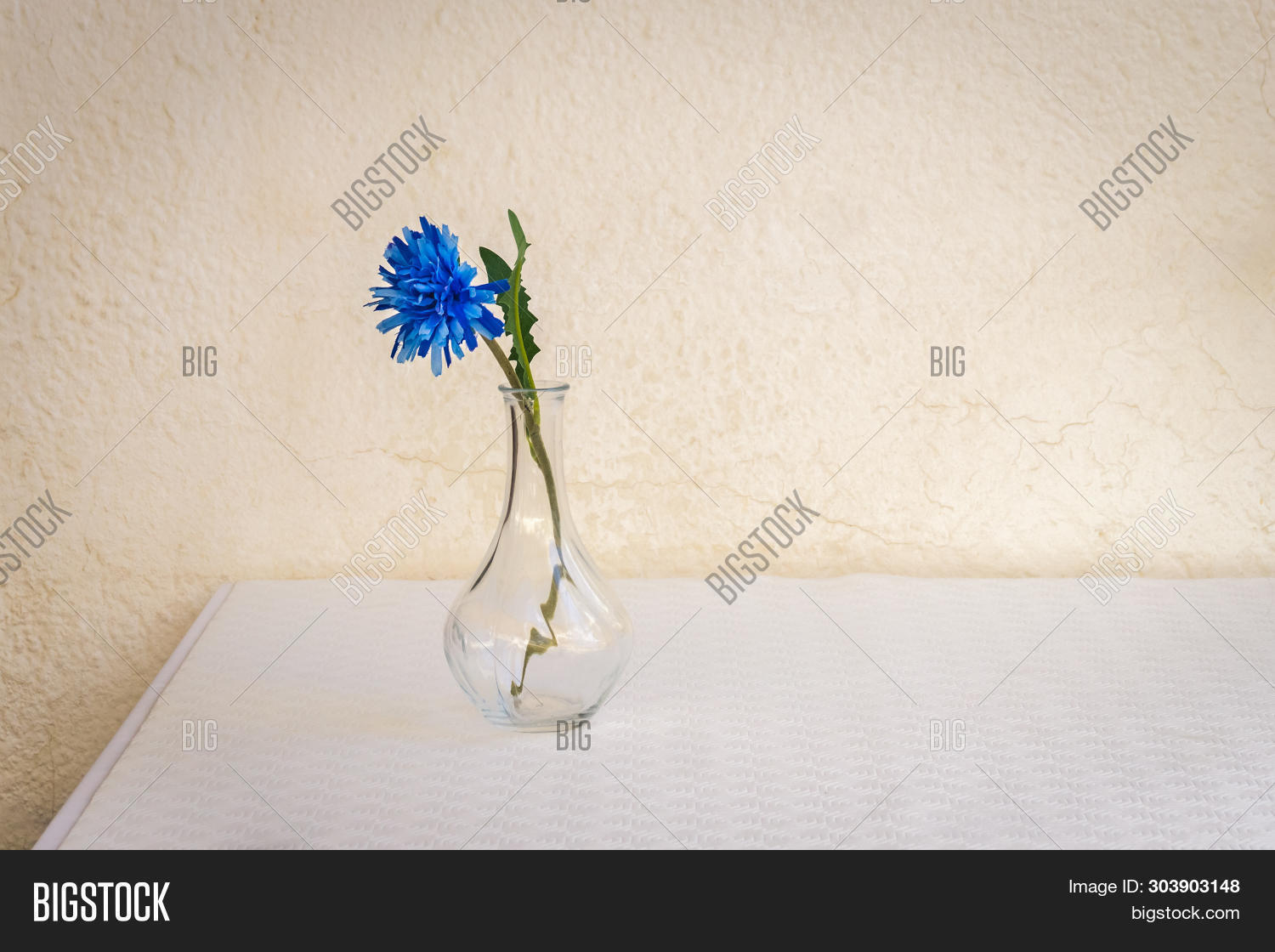 Wallpaper Blue Flower Glass Vase Image Photo Free Trial Bigstock For iPhone Free