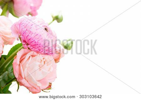 Rose And Rununculus Flowers Close Up Isolated On White Background