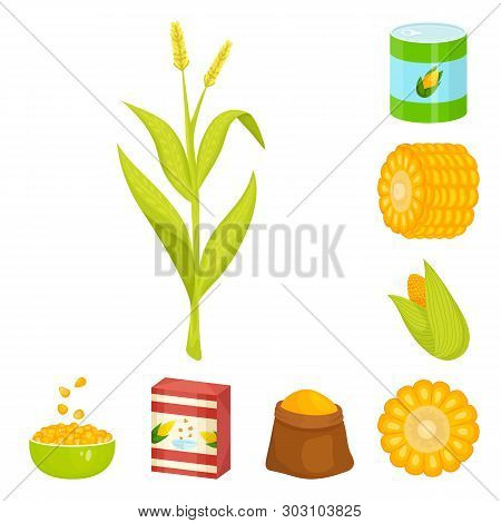 Vector Illustration Of Maize And Food Sign. Set Of Maize And Crop Stock Vector Illustration.