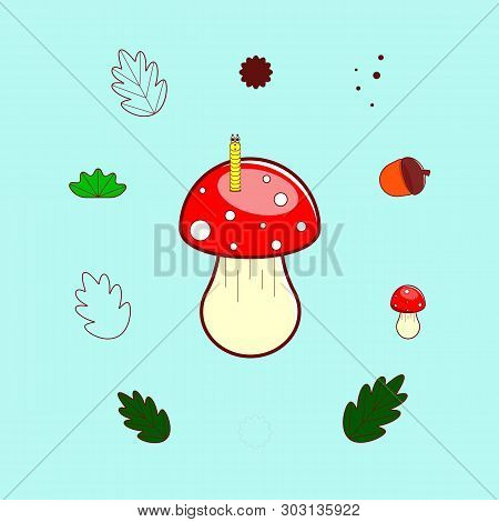 Set Of Forest Elements: Fly Agaric, Mushroom, Worm, Leaf, Oak, Acorn.vector Illustration In Colorful