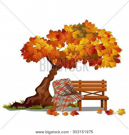 Cozy Bench Under The Autumn Tree. Outdoor Furniture Isolated On White Background. Sketch On The Them