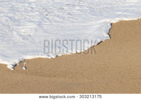 Foaming Breaking Wave And Backwash Foam On A Sandy Shoreline